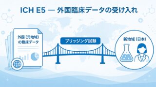 ICH E5（外国臨床データの受け入れ）とは ─ 民族的要因とブリッジング試験の考え方をやさしく解説 ─