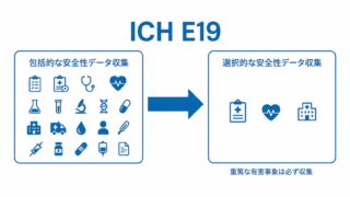 ICH E19とは ― 開発後期・承認後試験における「選択的な安全性データ収集」をわかりやすく解説 ―