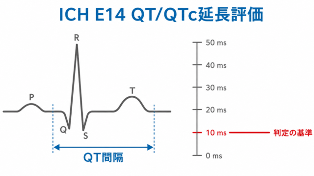 【徹底解説】ICH E14ガイドライン:非抗不整脈薬のQT/QTc延長評価をわかりやすく理解する
